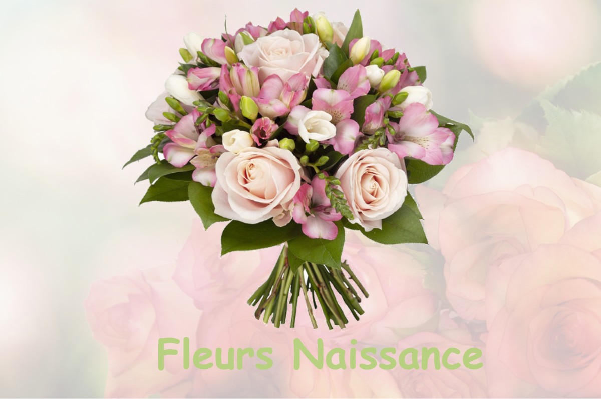 fleurs naissance LOULLE