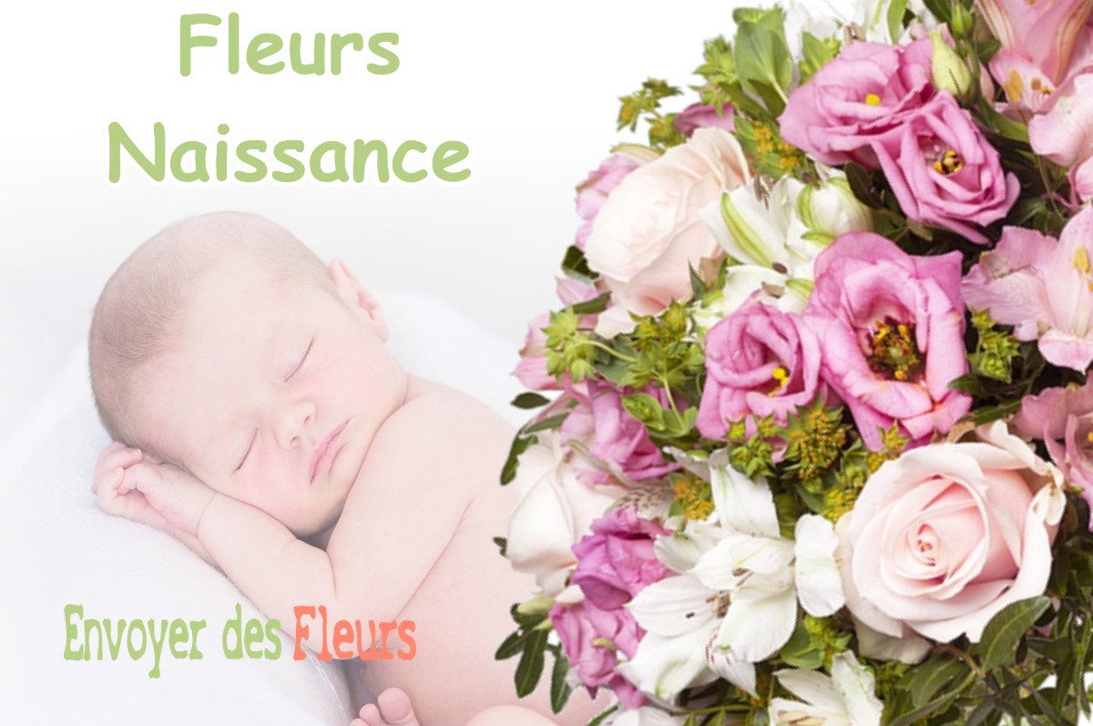 lIVRAISON FLEURS NAISSANCE à LOULLE